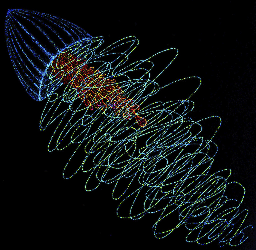 art-therapy-Deep-blue-jelly-buy-ocean-art-marine-artwork-sea-draw-painting-trippy-marine-indian-artist-aquatic-illustration-blue-jellyfish