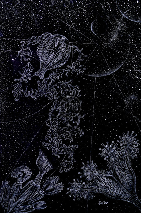 Haeckle in Monochrome - Final-psychedelic-artwork-pointillism-art-trippy-glow-inthedark-jin-dot-art-dotwork-art