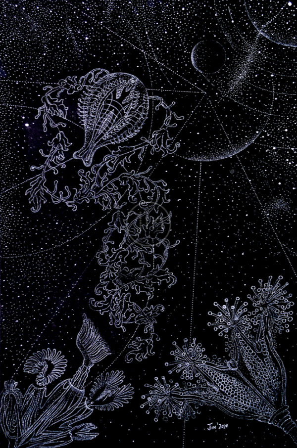 Haeckle in Monochrome - Final-psychedelic-artwork-pointillism-art-trippy-glow-inthedark-jin-dot-art-dotwork-art